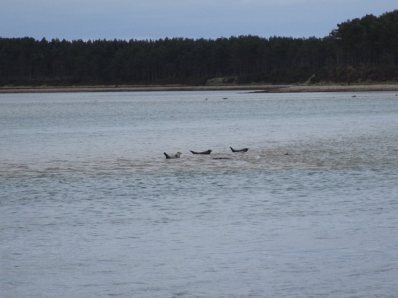 2018.07.09 Nordost und Nordkueste (1797).JPG